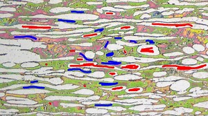 Can you imagine a software that automatically segments your image data for you, powered by machine learning? Discover ZEN Intellesis to reduce your segmentations efforts for faster analysis: https://www.zeiss.ly/zen-intellesis | ZEISS Microscopy