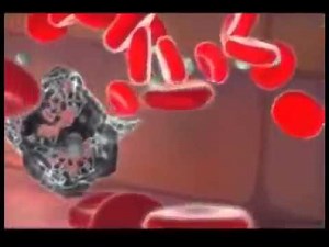 Celulas asesinas naturales: celulas NK