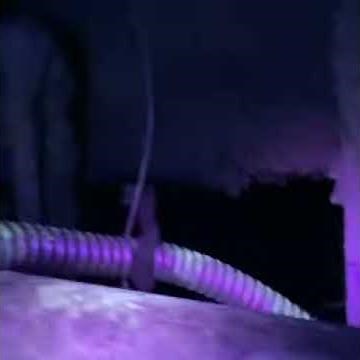 High Tech Rodent Control Tracking Black Light Inspection in West Covina, California