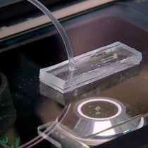 Video: Patterning of Microorganisms and Microparticles through Sequential Capillarity-assisted Assembly