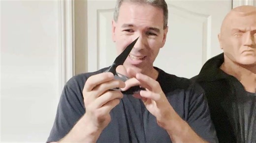 High-performance defensive blade reviewed