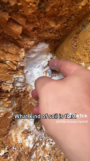 Exploring Unique Types of Soil in America