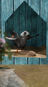 The Goose That Laid Golden Eggs 😮 (fable) | Zack D. Films