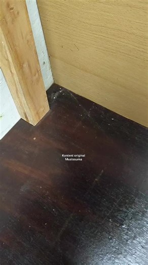 Simple Wood Joint Measurements for Carpentry