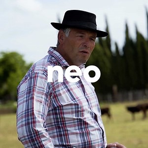 Au cœur de la Petite Camargue, Renaud élève des taureaux de courses camarguaises. 🐂 Il nous a expliqué son métier en immersion. | Neo