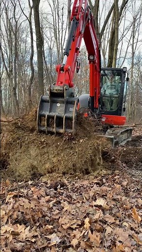 Digging Out Stump with Kubota Excavator and Werk Brau Rake
