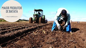 27K views · 1.2K reactions | DE BOIA-FRIA A UM DOS MAIORES PRODUTORES...