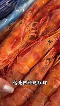 Uncover the Secrets of Shrimp: Types for Science Enthusiasts