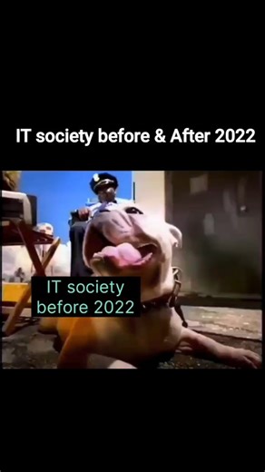 Tech Memes | Opened IT job roles. Closed confidence 💀 #aiengineer #genai #itmemes #aimemes #techhumor #relatablememe #reelsviral❤️ | Instagram