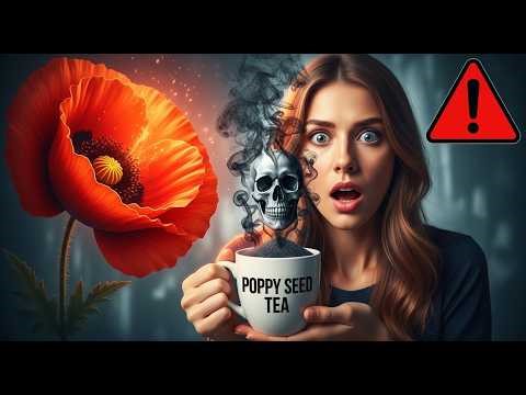 Poppy Seed Tea Exposed: How Store-Bought Poppy Seeds Turned Into a Dangerous Opioid