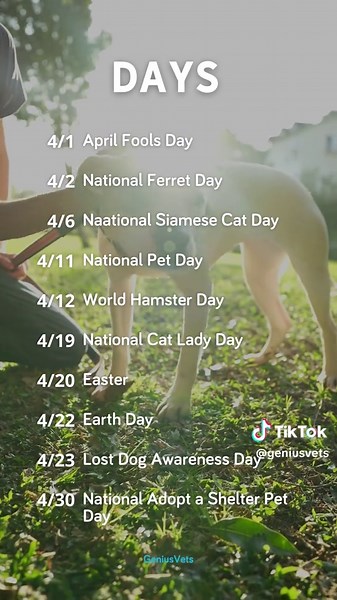 Fill your April content calendar with a variety of pet-themed holidays and seasonal topics to engage your clients! SAVE this post to keep track of key pet events this month and plan your content schedule with ease. 🍀🐶🐱 Social Tip ⭐️ Engage with other accounts by liking and commenting on their posts—this increases your visibility. Having an active social presence isn’t just a bonus—it’s a necessity for veterinary practices today. You don’t have to manage it alone! The veterinary marketing expe