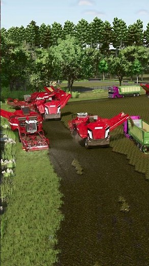 LS25 🚜 Rottumer Island: XXL-KARTOFFELERNTE 🥔