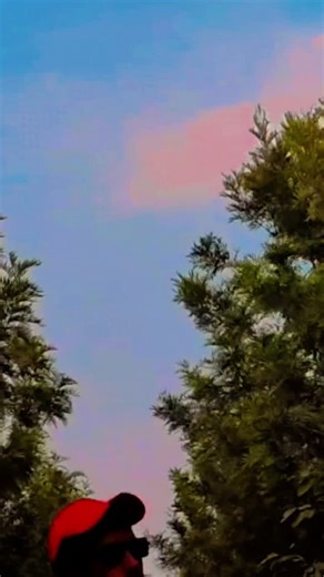 तेरी अकड़ मेरे पैरों की धूल , बेटा बिहारी हु ये मत भूल! on Instagram: "intent://m.youtube.com/watch?v=-BR-EW5F03A&feature=mweb_c3_open_app_11268432&itc_campaign=mweb_c3_open_app_11268432&redirect_app_store_ios=1&app=desktop#Intent;package=com.google.android.youtube;scheme=vnd.youtube;launchFlags=268435456;end"