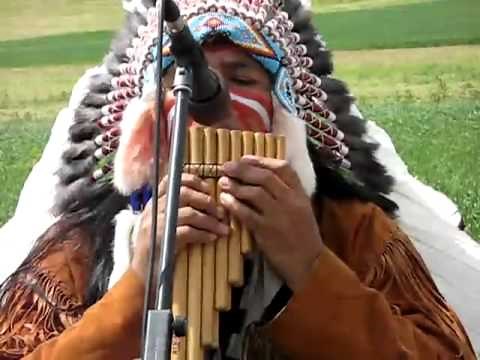 WUAUQUIKUNA - Buffalo white