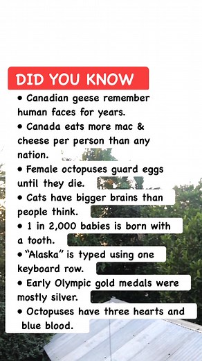 🦢 Animals With Memory So Good It’s Scary #AnimalTrivia #WildlifeFacts #NatureIsCrazy | Riddle & Puzzle