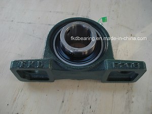 [Hot Item] Pillow (plummer) Block Ball Bearing Units