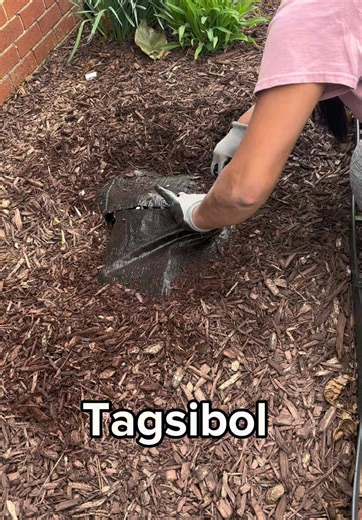 Mary's Secret Garden: Spring Blooms