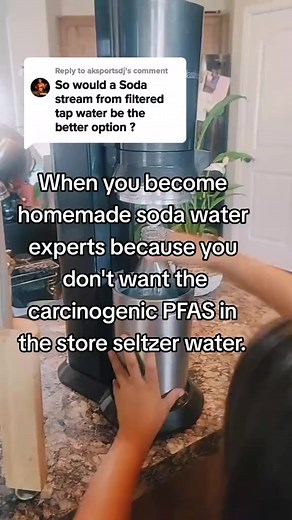 6K views · 143 reactions | Our Favorite soda water recipes for amazing mocktails and just a good alternative to the store bought seltzer which often has PFAS. #toxinfree #toxinfreeliving #seltzer #healthyfood #healthydrink #mocktails | Alison Schillfarth | Facebook