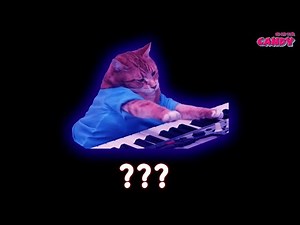 10 Keyboard Cat Sound Variations in 60 Seconds