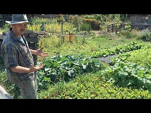 Regenerate Episode 6 - Ecology Action BioIntensive Agriculture