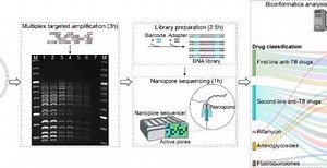 Bio-protocol | 近一年“生物信息”实验方案合集_腾讯新闻