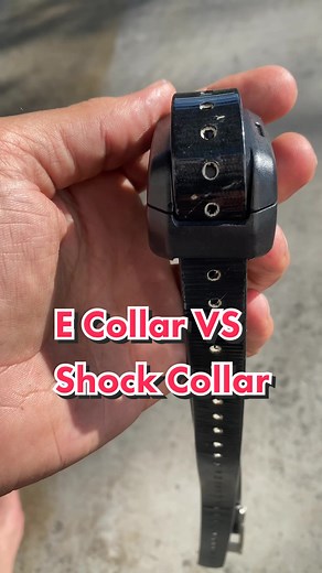 Dylan Blau on TikTok