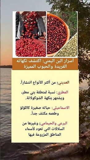 أسرار البن اليمني: اكتشف نكهاته الفريدة والحبوب المميزة