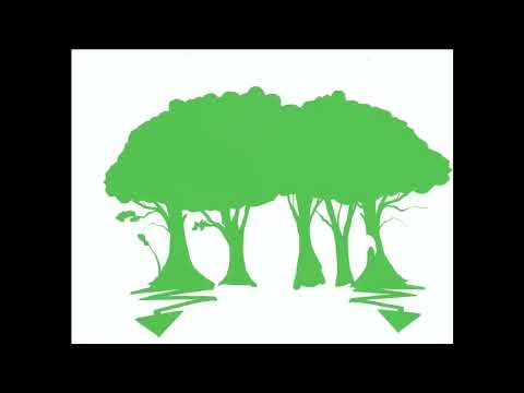 Spring Time! In the winter