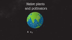 We are excited to debut a short animated video about the importance of pollinators, their relationship with native plants, and ways to help! With Pollinator Week only 2 weeks away, this short video is perfect for sharing with friends, family, and colleagues to get them excited and talking about pollinators! For more information about Pollinator Week, visit https://pollinator.org/pollinator-week. • Animation and Production by Samuel LeGresley (http://www.samlegresley.com/en) Narration by Kathleen