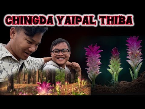 Henjang thiba chataba kuire @maringbonium yaipal fajana houre 