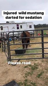 830 reactions · 11 shares | Click here to read! NO ANIMALS WERE...