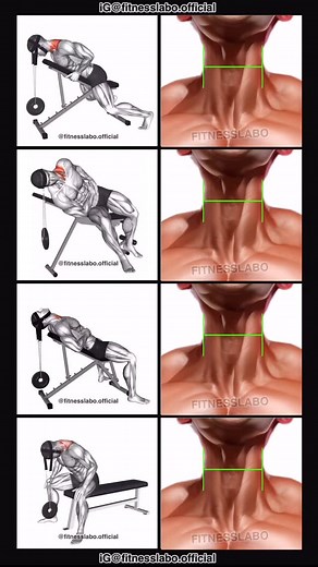 32K views · 1.8K reactions | ✅ How to Get a Stronger Neck ① Incline Neck Extension ② Incline Side Neck Extension ③ Incline Neck Flexion ④ Seated Neck Extension 3 sets 15-20 reps #fitness #gym #exercise #workout #workoutroutine #exercisetips #fitnesstips #bodybuilding #neck #neckexercises | Fitnesslabo | Facebook