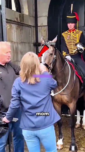 This Made a King’s Guard Cry 😢