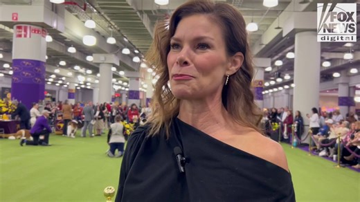 Fox Sports reporter Jamie Little talks about what an honor it is to cover the Westminster Dog Show