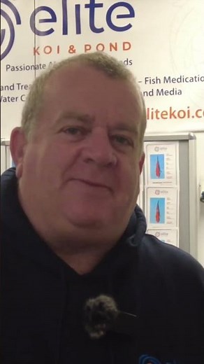 Why Your New Pond Turns Green (Watch This Before You Panic!)