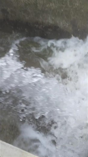 main chhora jamidar ka 🙋