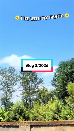 Life with My Bestie: Breakfast and Daily Chores Vlog