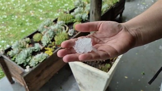 Royce sent us this video of some big hail bouncing around on the grass from Kamberg in the KZN Drakensberg today (6 December 2025). Whatsapp photos/videos to 0812518029. See https://snowreport.co.za for weather forecasts. | Snow Report SA