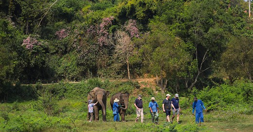 Video: 36 Hours: The Golden Triangle, Thailand