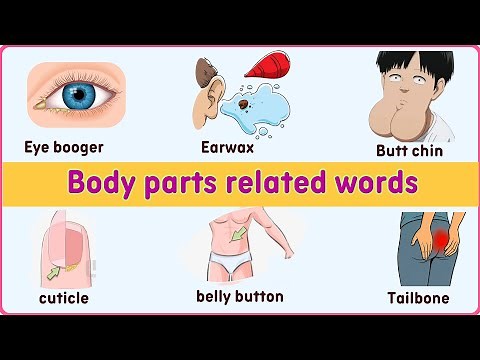 Lesson 261: Body Parts Related Vocabulary | English Vocabulary practice #learnenglish