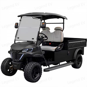 [Hot Item] 2 Seater Utility Electric Golf Cart with Truck Bed Cargo Box