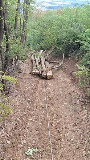 IMT 560 S44 VITLANJE