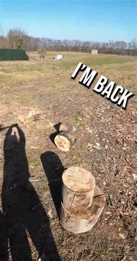 I'M BACK! Spring wood splitting begins 🪓🌱