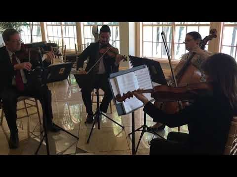 Expressway Music Classical String Quartet
