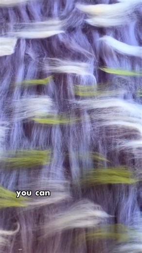 1of1 Custom Clothing Upcycling on Instagram: "Wet felting ✍️ There are many types of felting, and we might talk about them in future videos. But wet felting is the oldest and easiest to get into. People have been doing it since 6000BC ! Footage from: @isabelle.dance.design - #felting #feltingwool #wetfelting #wetfeltingwool #fabrics #fabricdesign #fabricdesigner #fashionschool #fashionhistory"