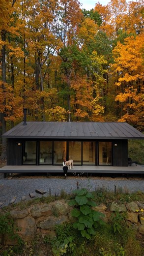 Here are some unique Airbnbs in Virginia for your 2024 bucket list. More unique places to stay in Virginia on my blog: https://withsunshinesol.com/unique-places-to-stay-in-virginia/ You can also find them on my Virginia Map, with many of these Airbnbs offering exclusive discounts. The map has just been updated, now featuring 800 things to do, explore, and eat. Don’t miss the 25% discount for my Virginia Map, valid until 11/30 before the price increases on 12/01. Link in bio! use code: SANCHO23 F