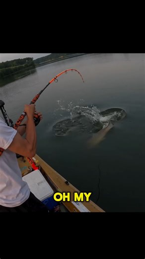 13K views · 168 reactions | Catfish CHAOS - Draggin The Old Wagon ...