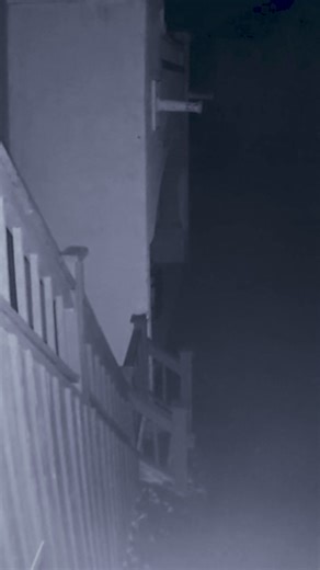 6.5K views · 55 reactions | DO YOU DARE? People say the grounds of...