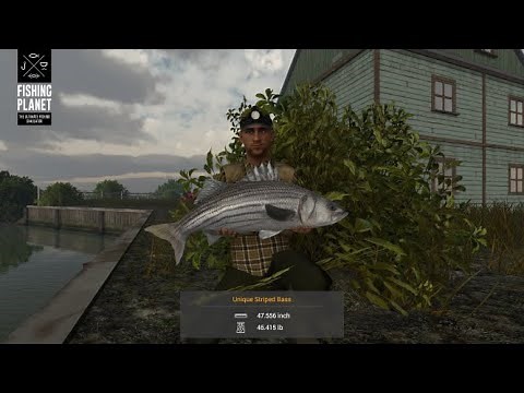 Fishing Planet - Blue Crab Island - Mississippi - Unique Striped Bass