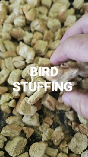 4 comments | As for recipe  down below #stuffingmix #Thanksgiving #turkey #aheartfortraveling #whatscanning #growyourownfood #canningandpreserving #canningseason #farmilife | Charity DeSear | Facebook